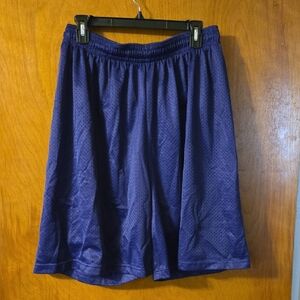 Mens Purple Active Shorts 2X: 2XA